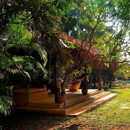 Hotel The Clematis à Candolim Extérieur photo