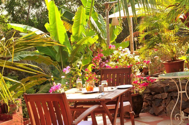 Hotel The Clematis à Candolim Extérieur photo
